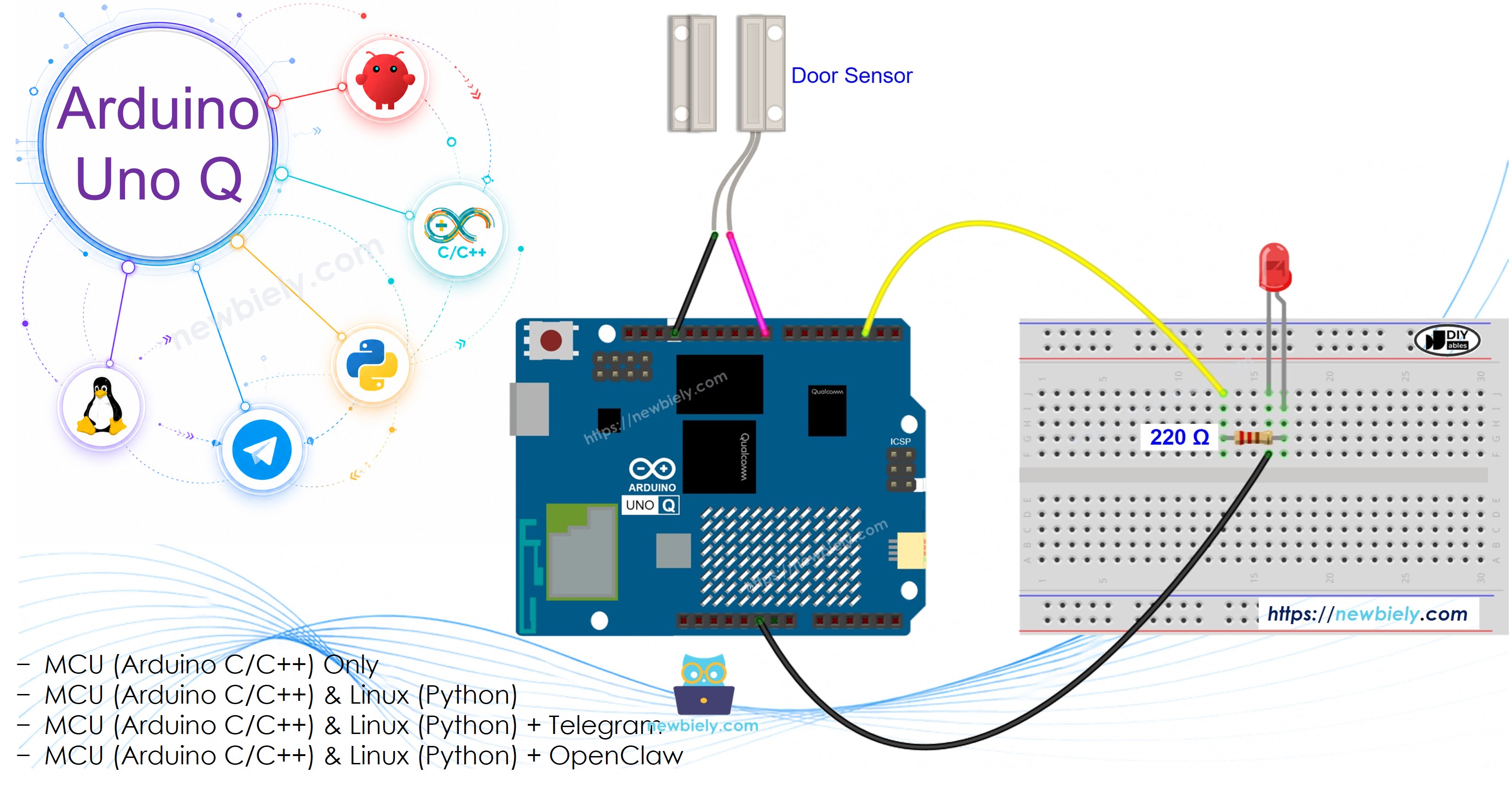 Arduino UNO Q Capteur de Porte LED