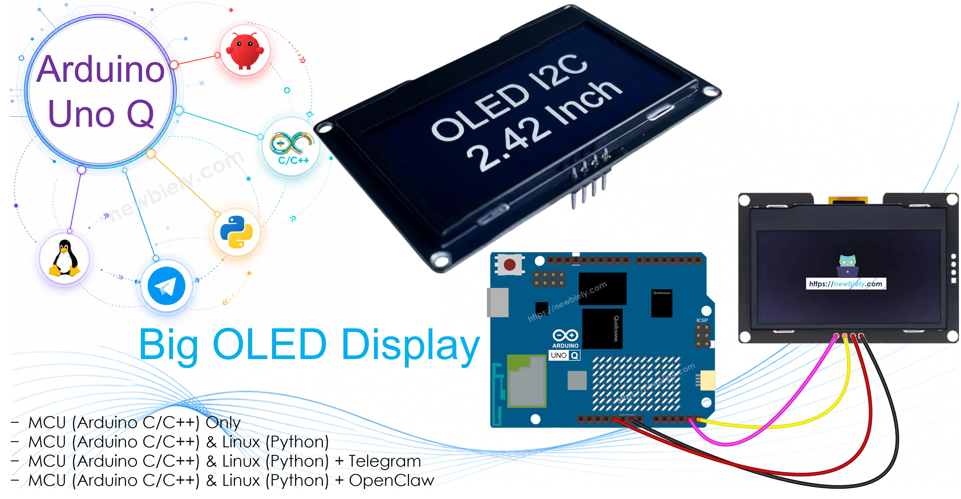 Arduino UNO Q - Écran OLED SSD1309 2,42 pouces