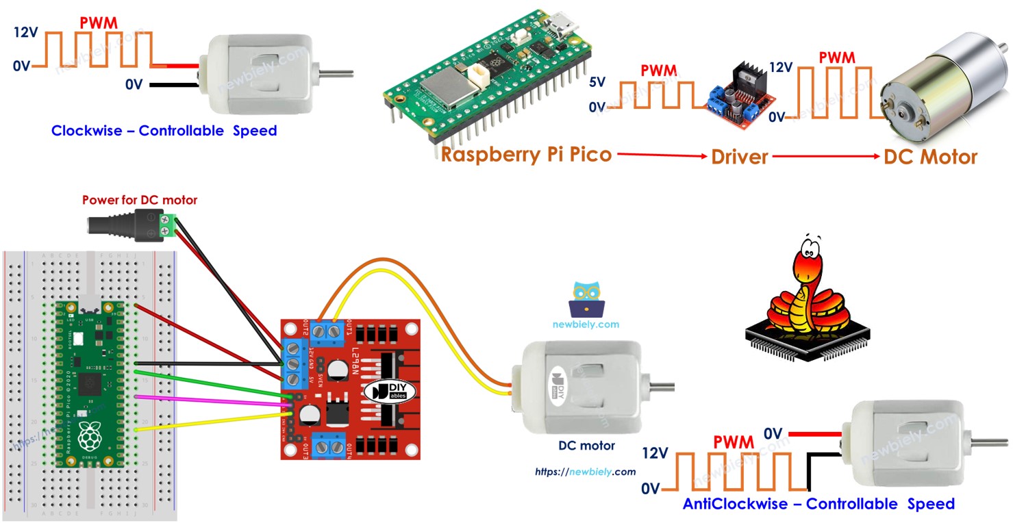 Raspberry Pi Pico Moteur