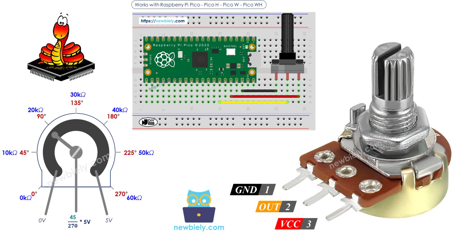 Raspberry Pi Pico Potentiomètre