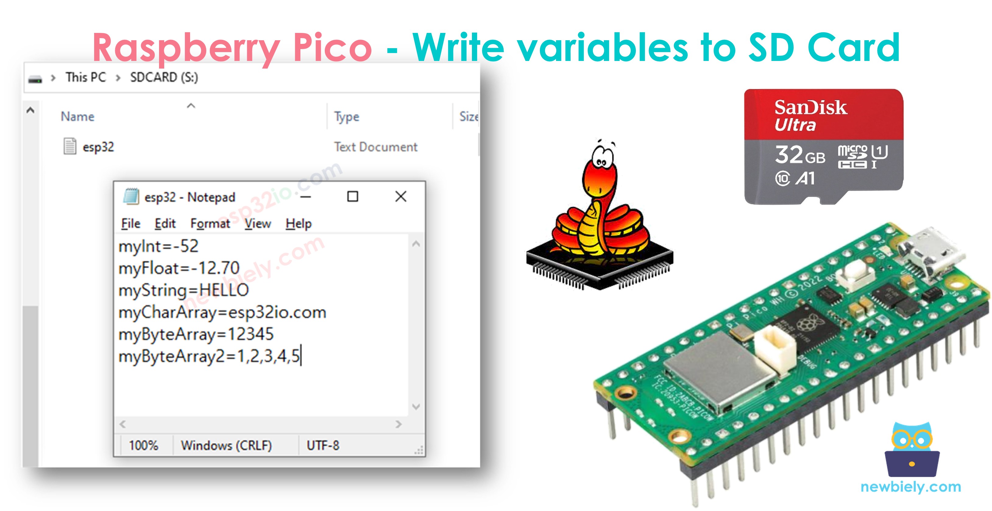 Carte microSD Raspberry Pi Pico