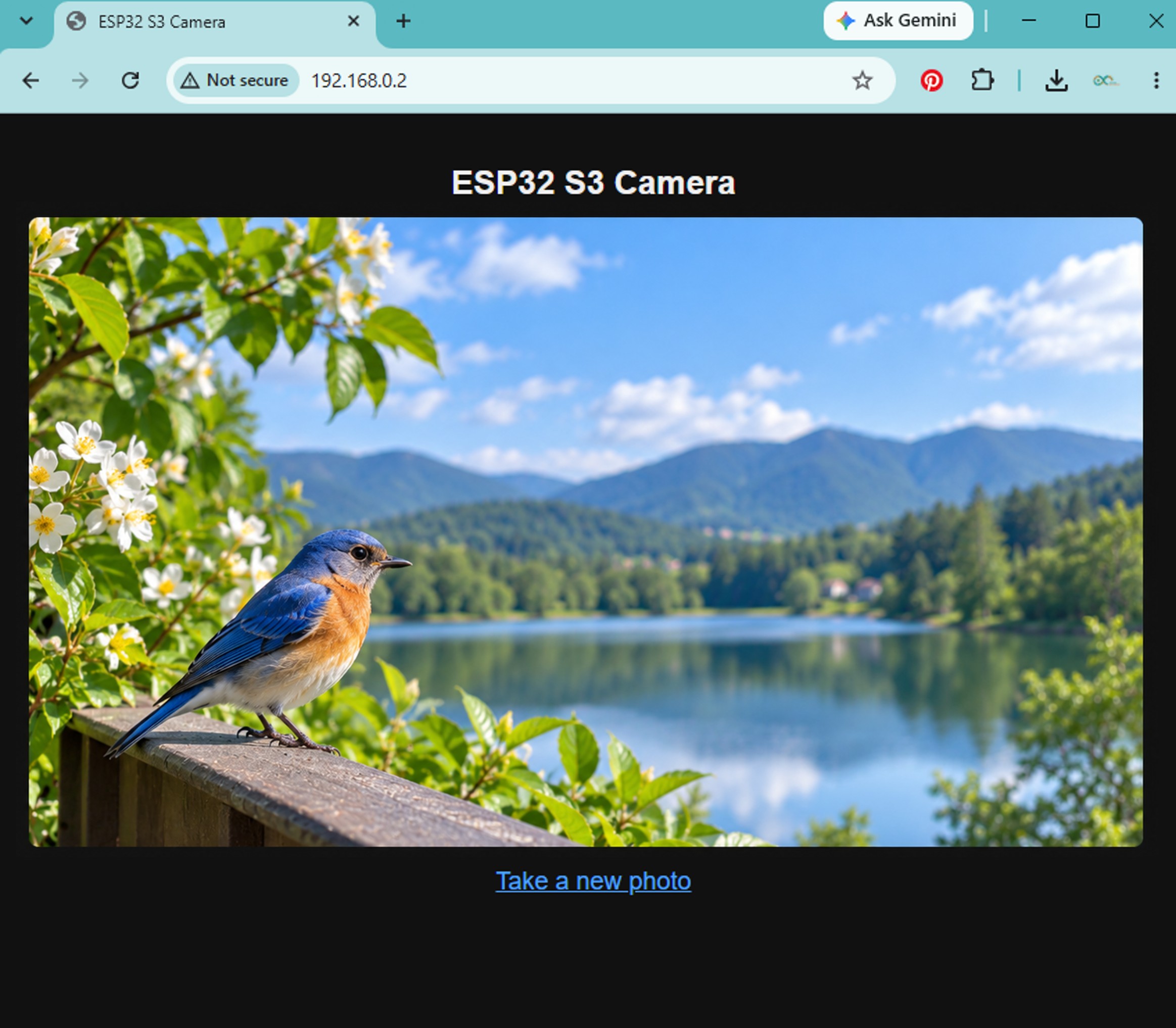 Photo de la Caméra ESP32 S3 dans un Navigateur Web