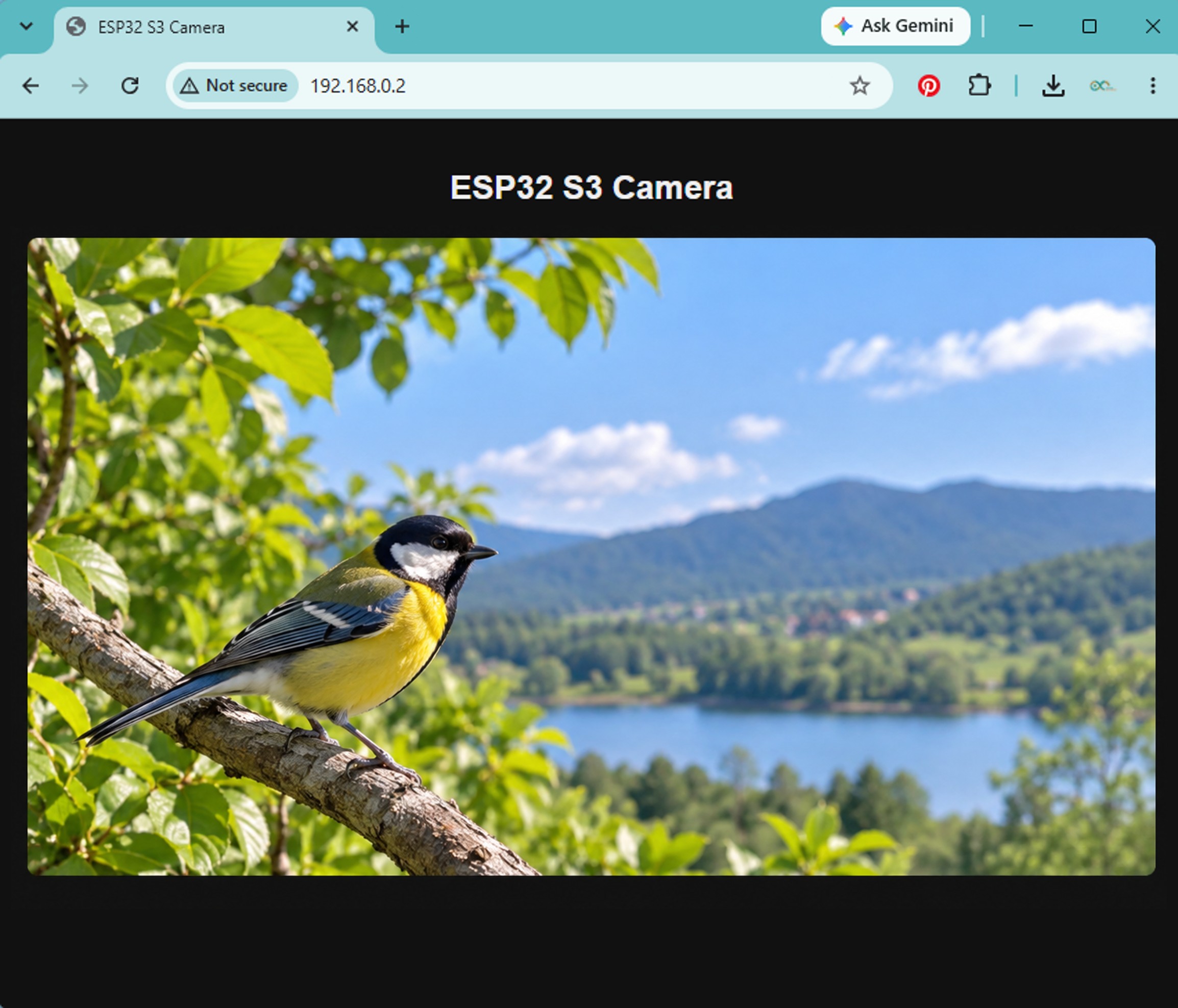 Vidéo en Direct de la Caméra ESP32 S3 dans un Navigateur Web