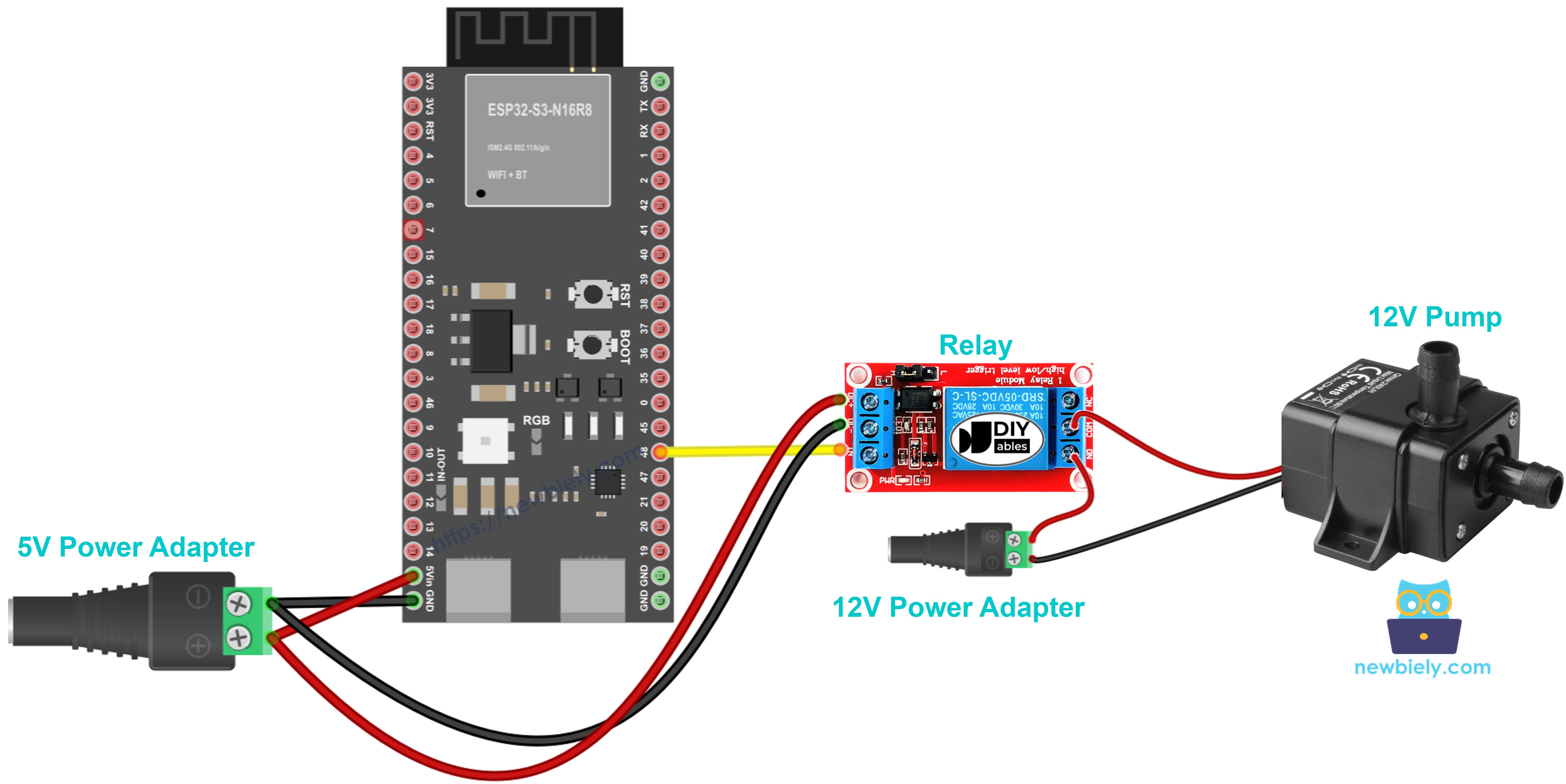 ESP32 S3 Pump Wiring Diagram