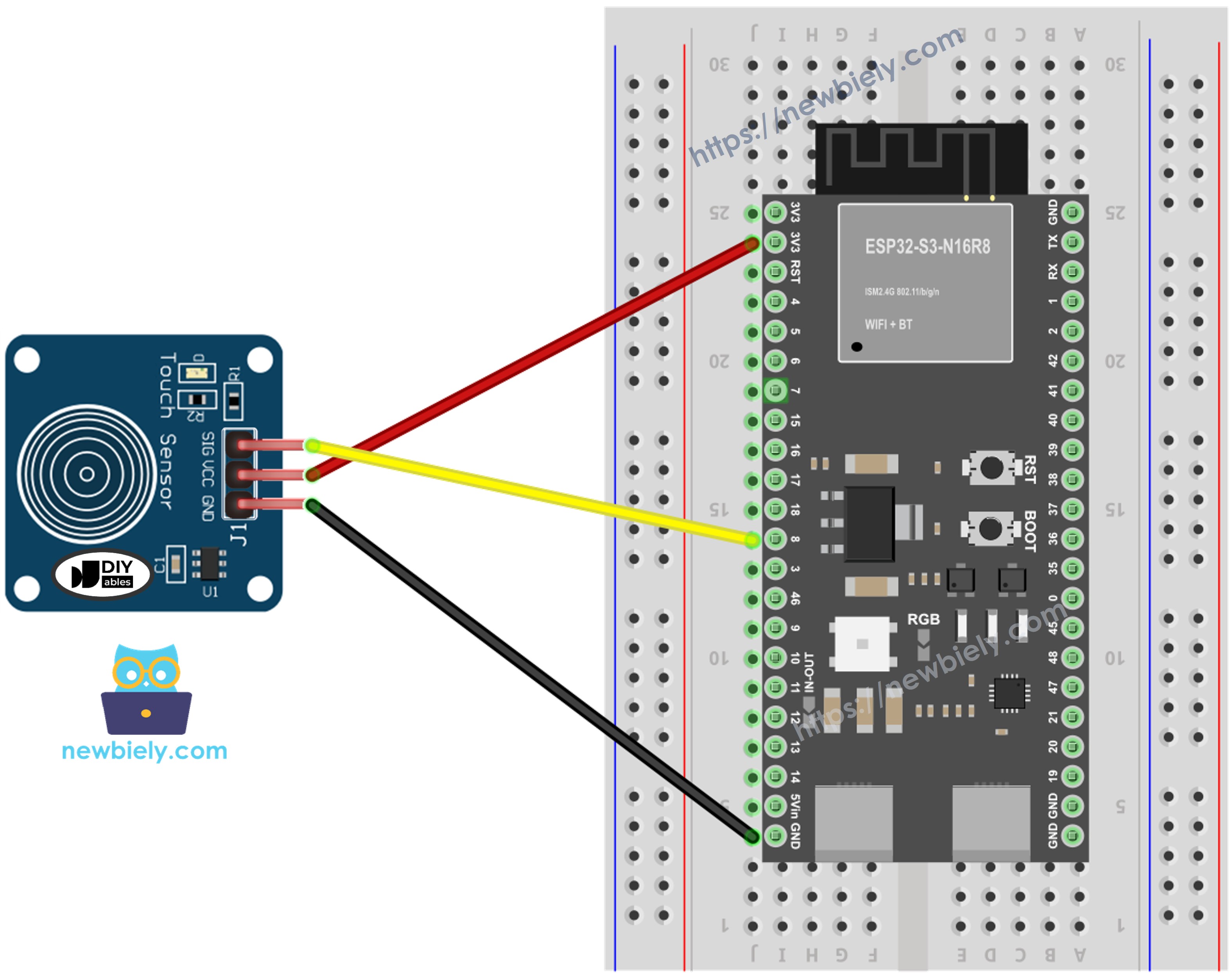 ESP32 S3 Touch Sensor Wiring Diagram