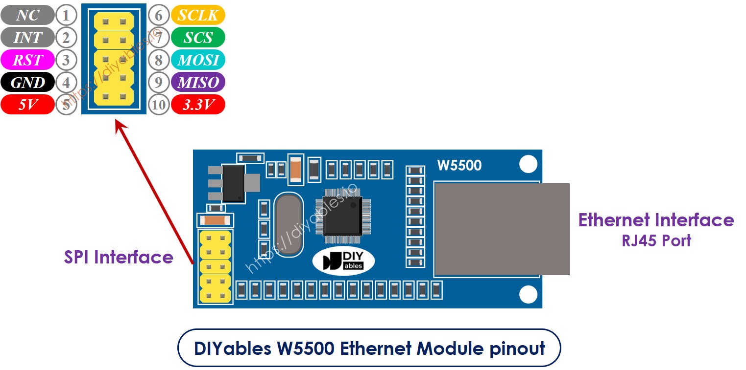 Borniers du module Ethernet