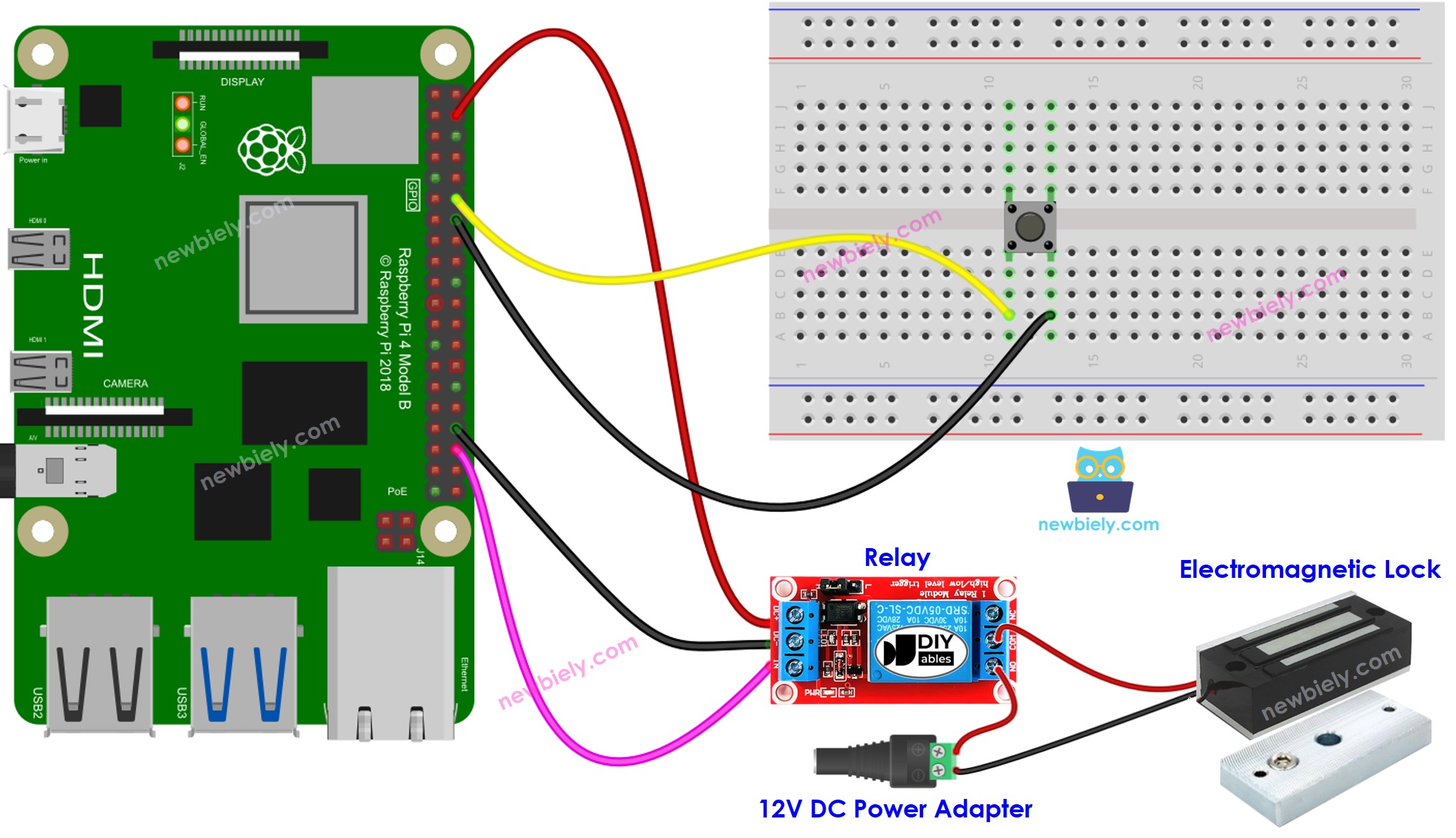 Schéma de câblage du bouton Raspberry Pi pour serrure électromagnétique