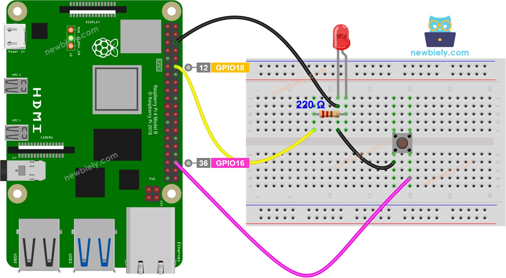 Schéma de câblage LED avec bouton Raspberry Pi