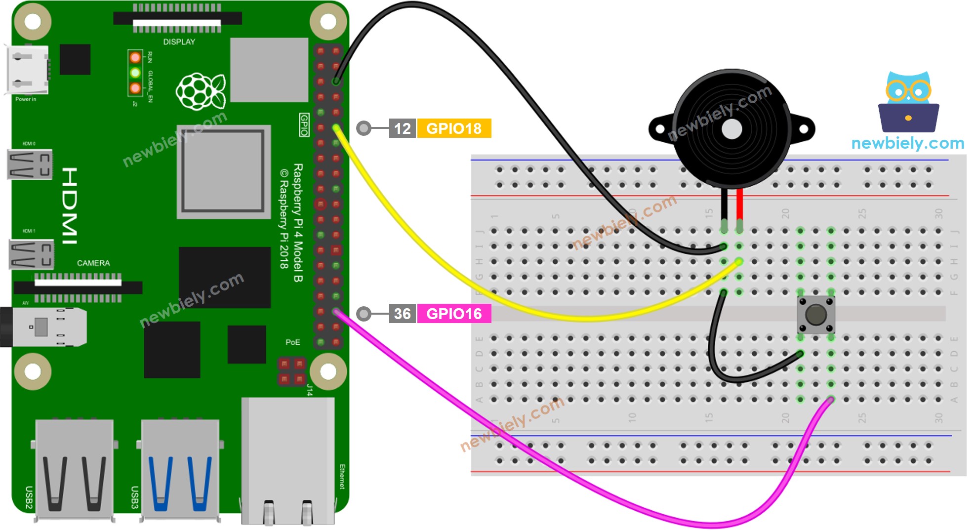 Schéma de câblage d'un bouton et d'un buzzer piézo pour Raspberry Pi