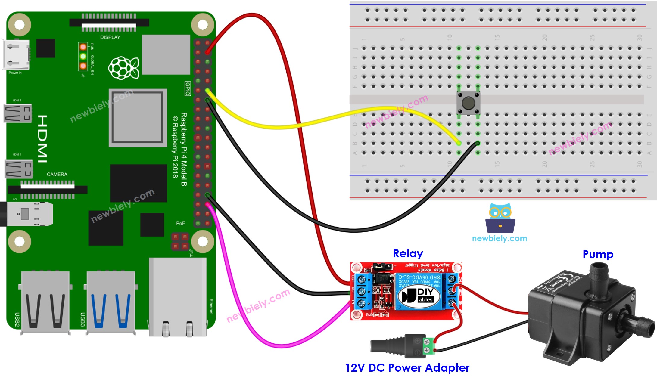 Schéma de câblage du bouton Raspberry Pi contrôlant la pompe