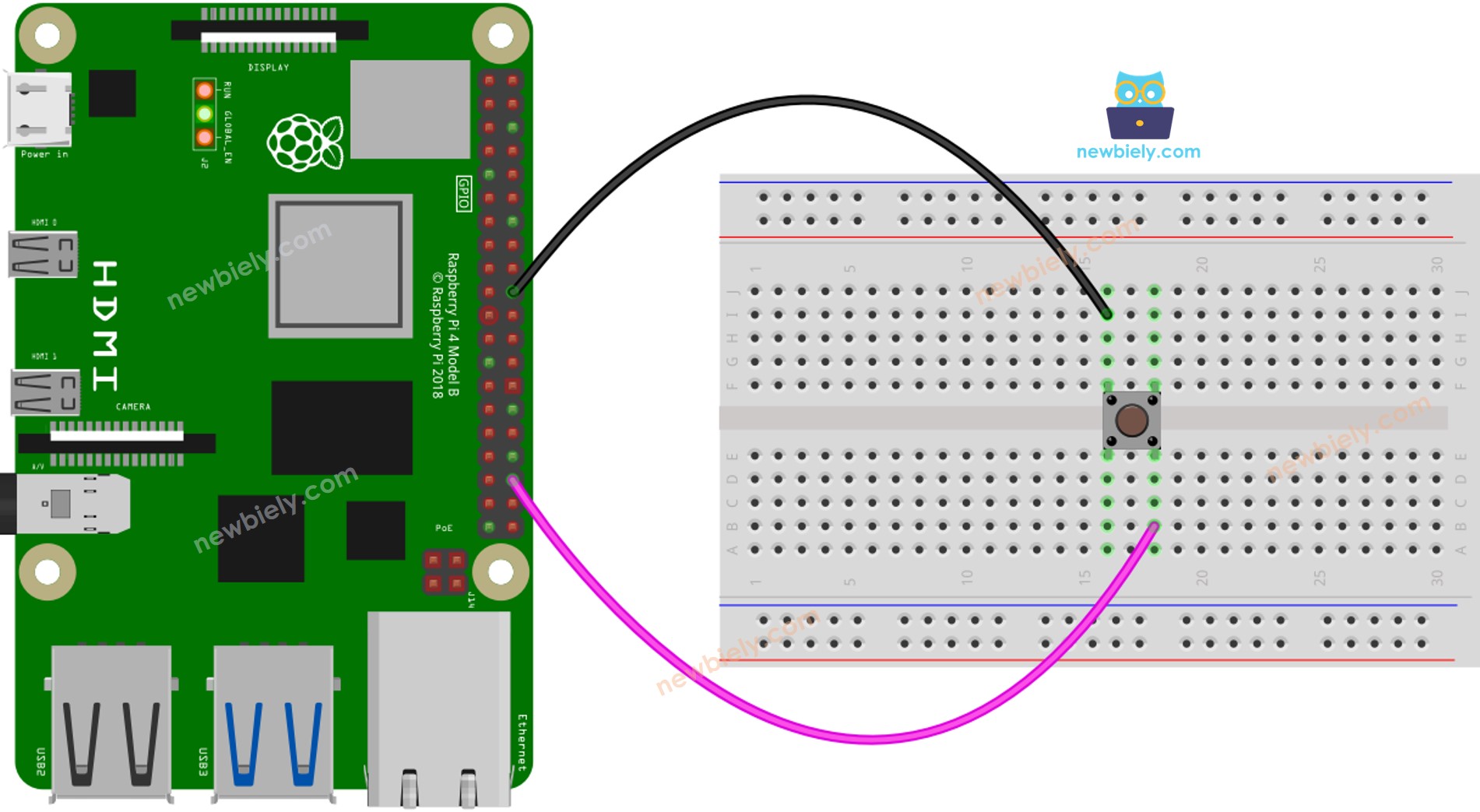 Diagramme de câblage du bouton Raspberry Pi