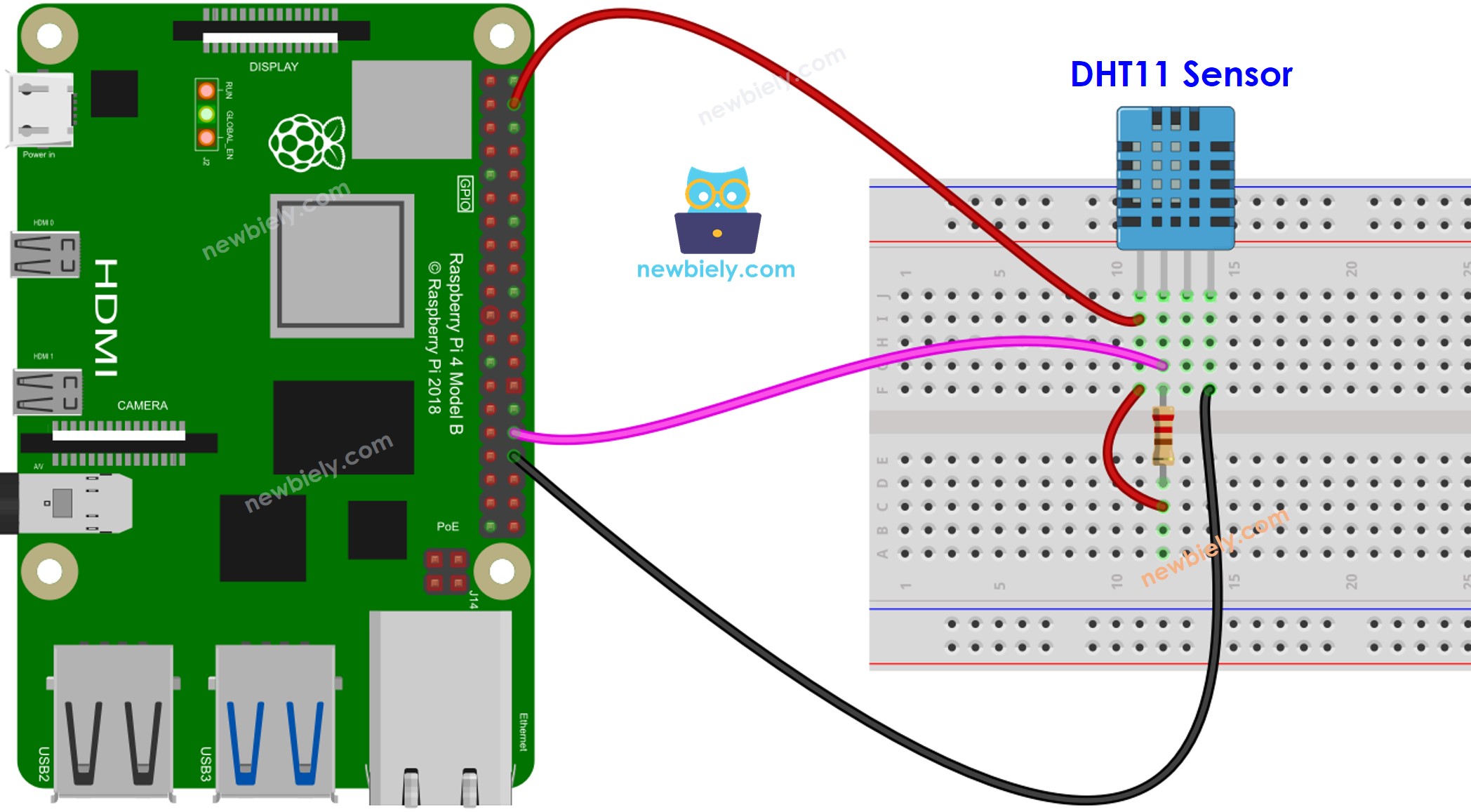 Schéma de câblage du capteur de température et d'humidité DHT11 Raspberry Pi