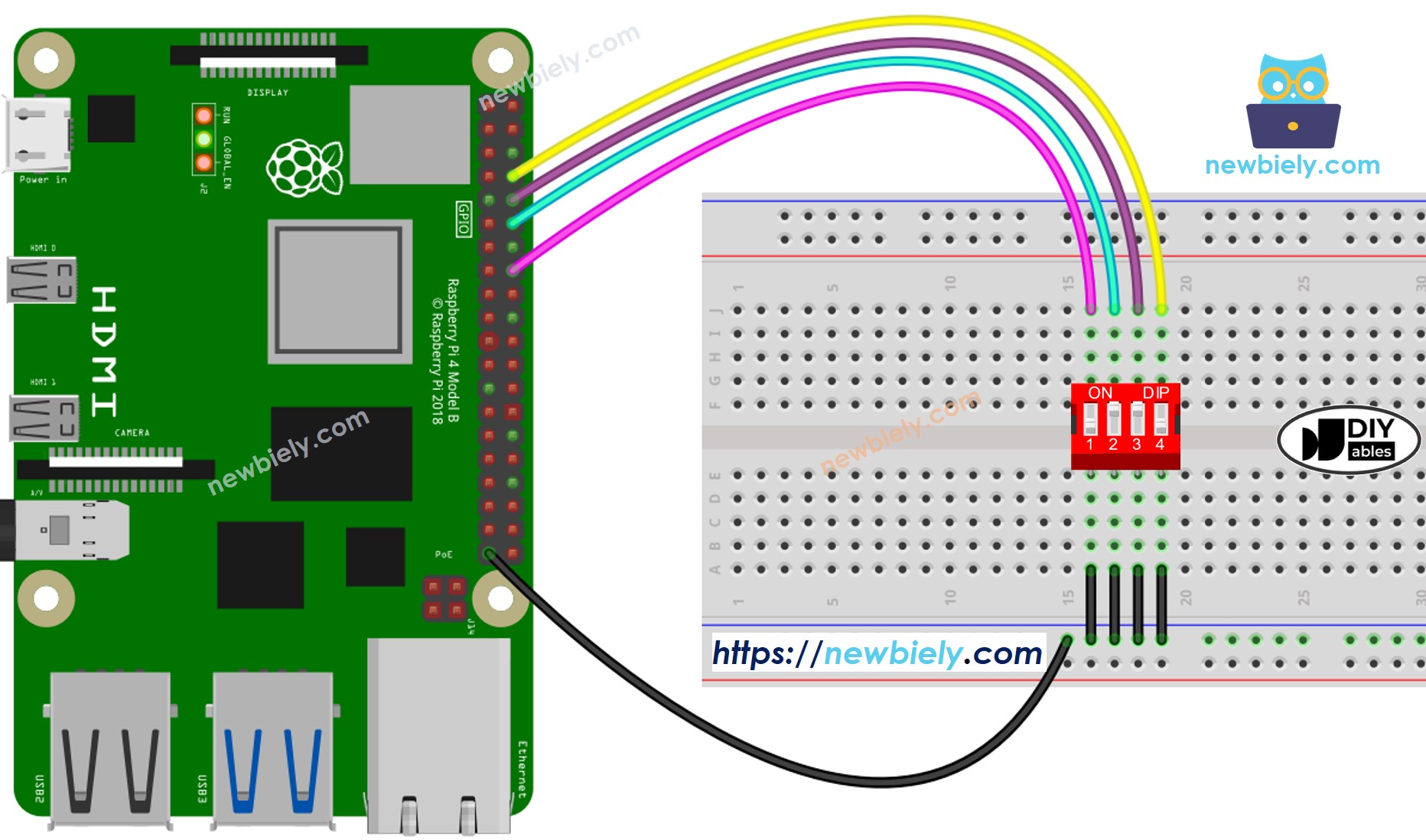 Schéma de câblage de l'interrupteur DIP Raspberry Pi