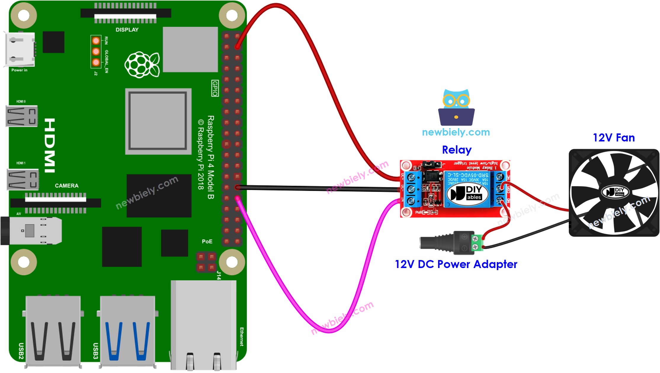 Schéma de câblage du ventilateur Raspberry Pi