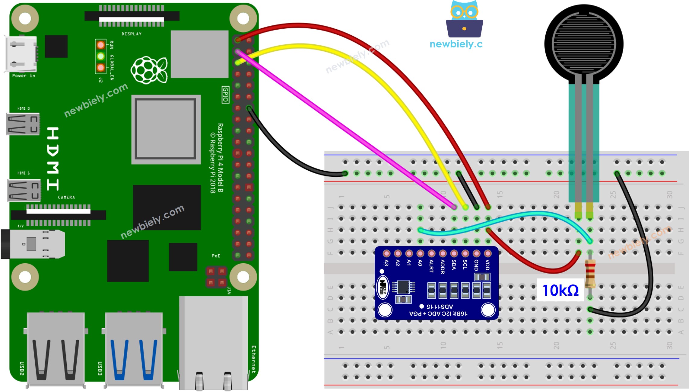 Schéma de câblage du capteur de force pour Raspberry Pi