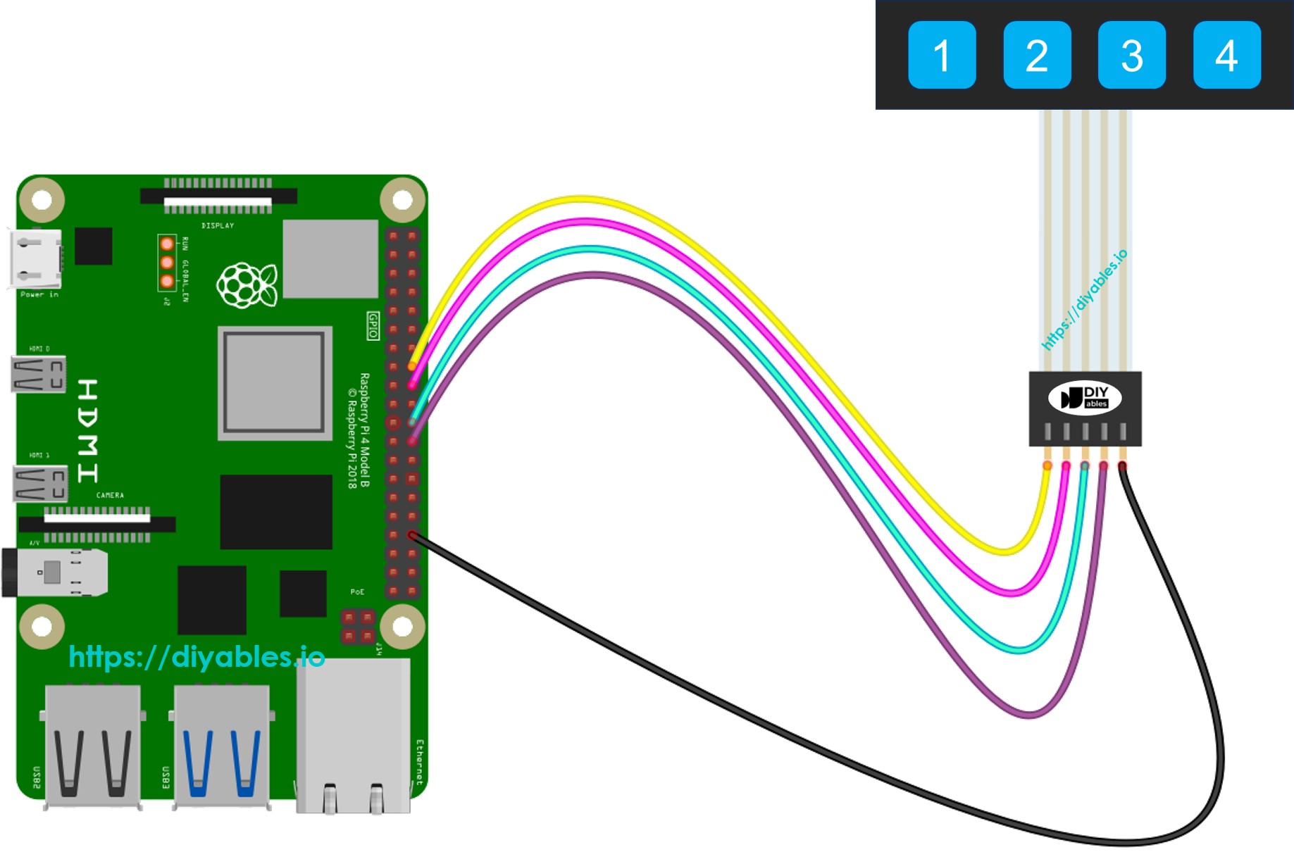 Schéma de câblage du clavier 1x4 pour Raspberry Pi