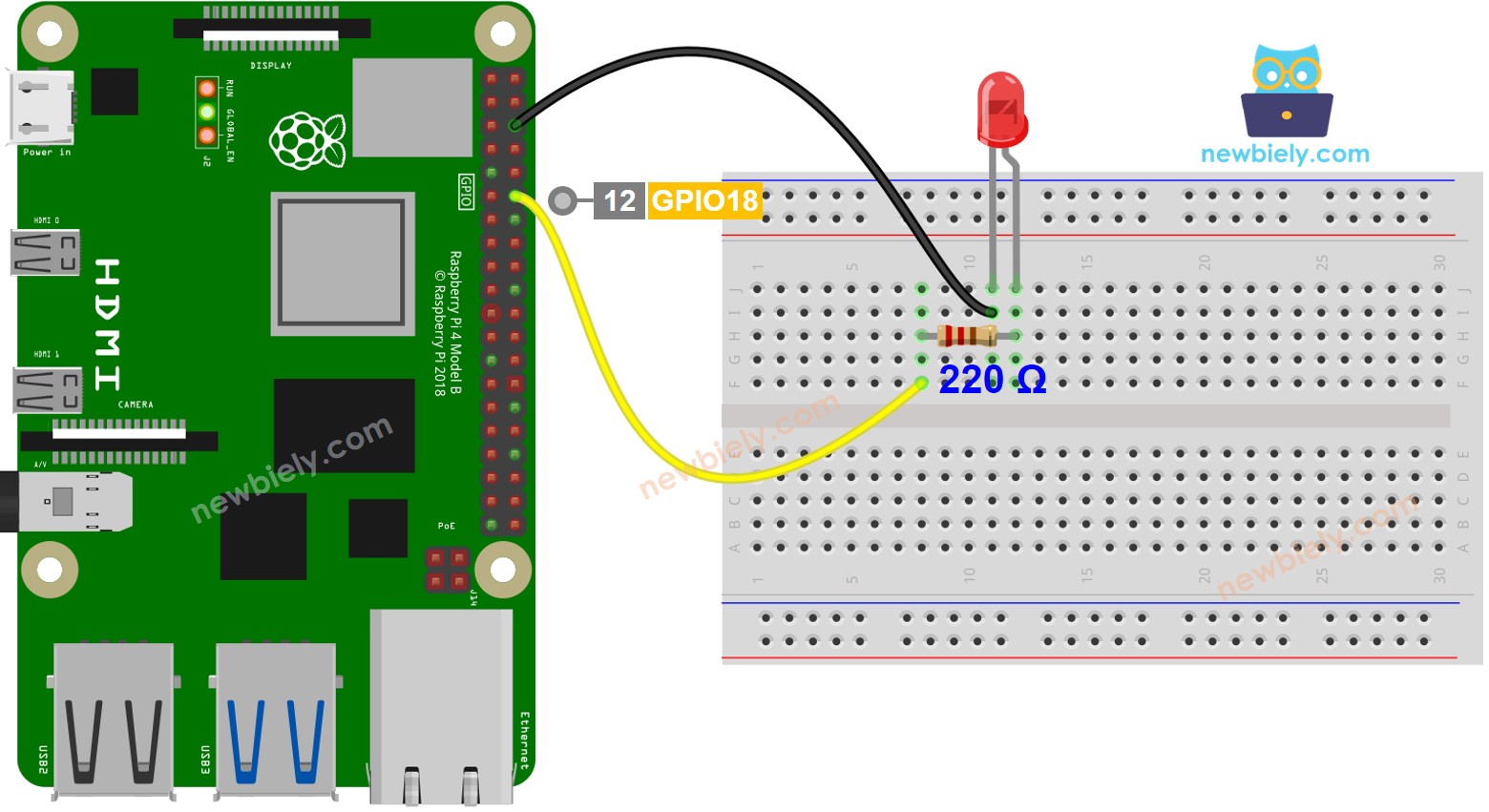 Schéma de câblage LED Raspberry Pi