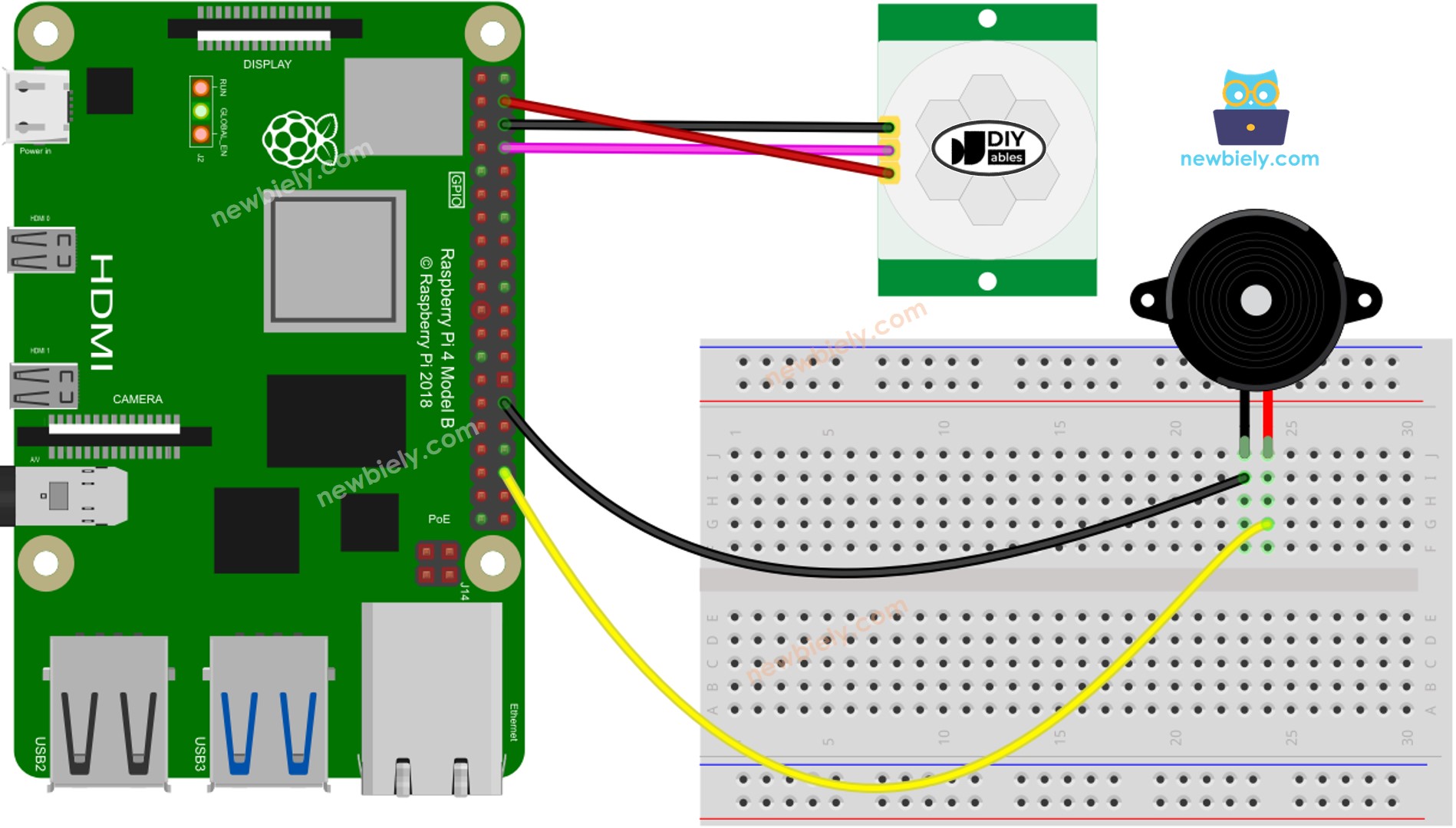 Schéma de câblage d'un capteur de mouvement Raspberry Pi avec un buzzer piézo.