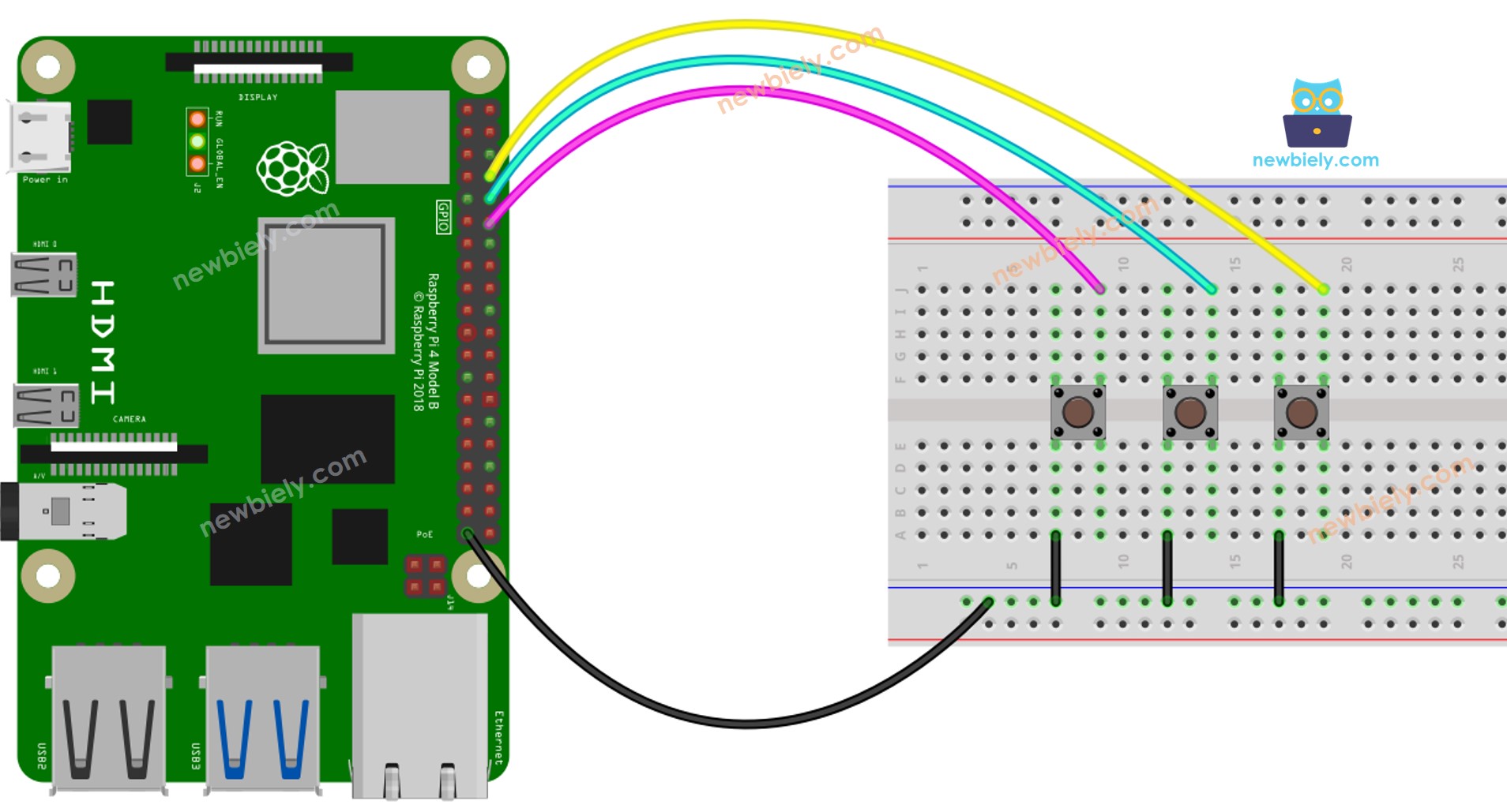 Schéma de câblage de la bibliothèque de boutons Raspberry Pi