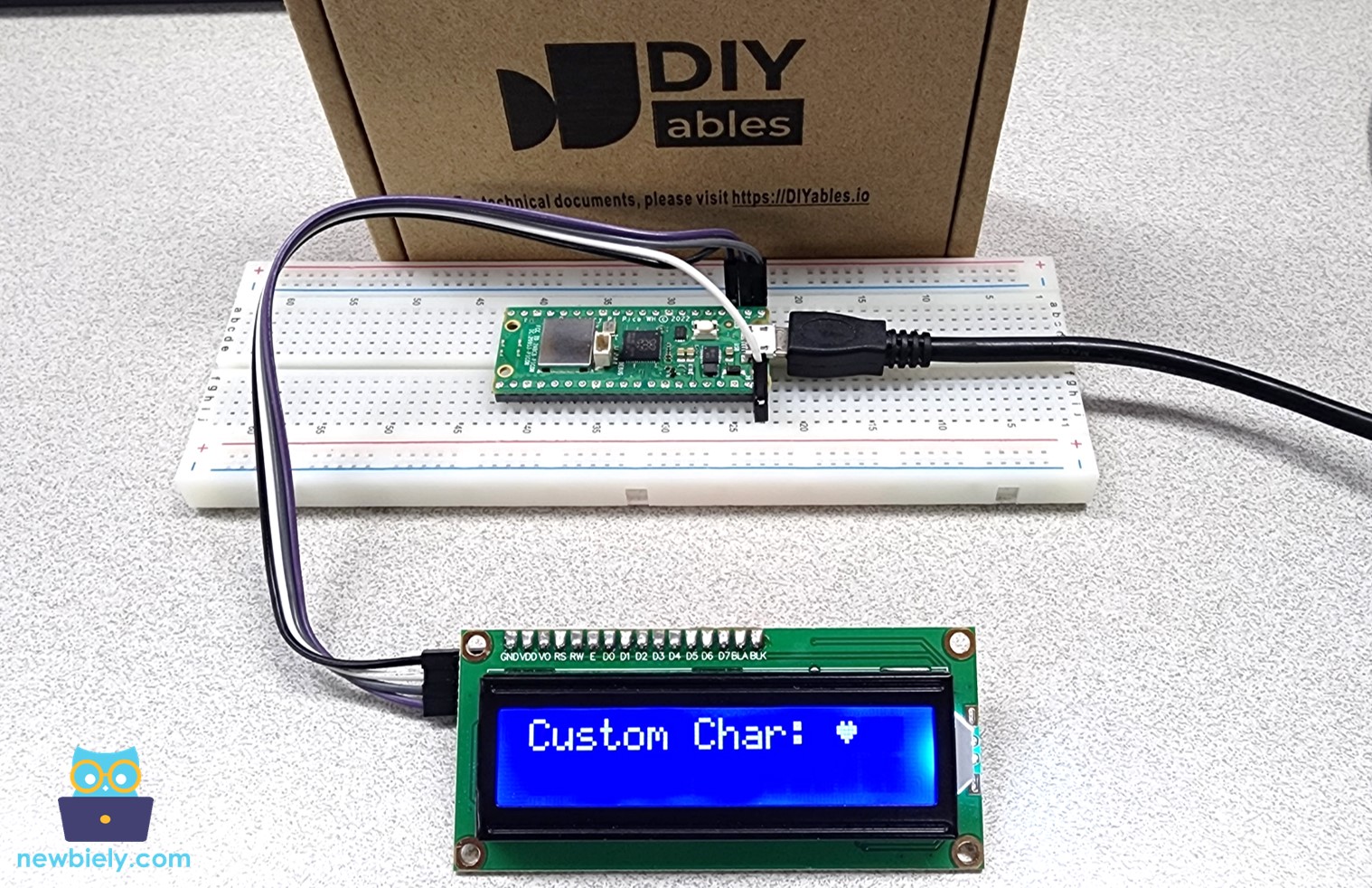 caractère LCD personnalisé