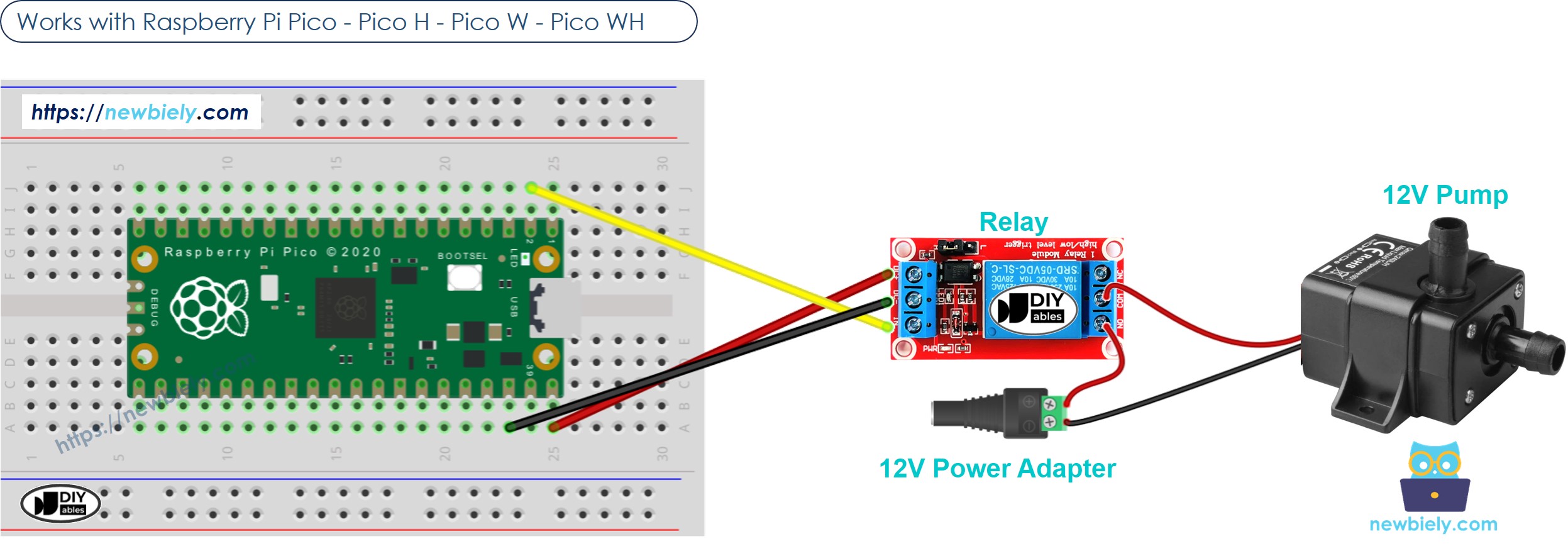 Schéma de câblage de la pompe Raspberry Pi Pico