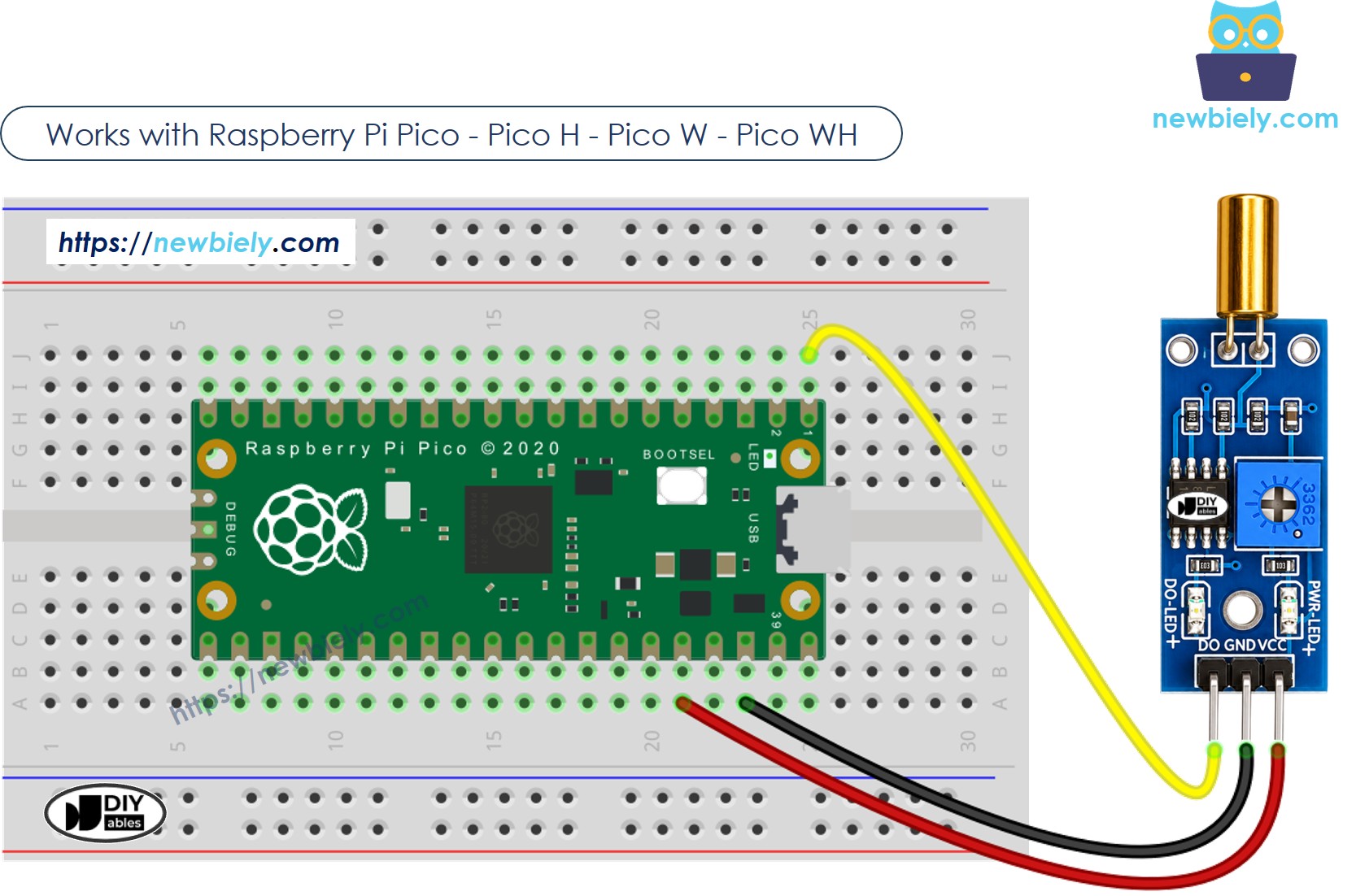 Schéma de Câblage Raspberry Pi Pico Capteur d'Inclinaison SW520D