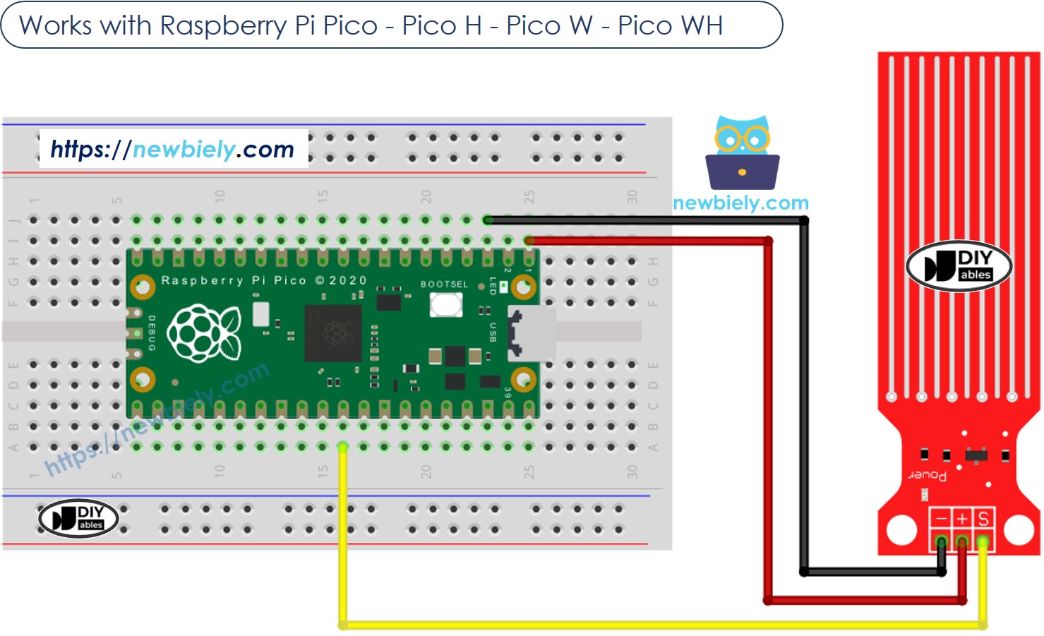 Schéma de câblage du capteur d'eau pour Raspberry Pi Pico
