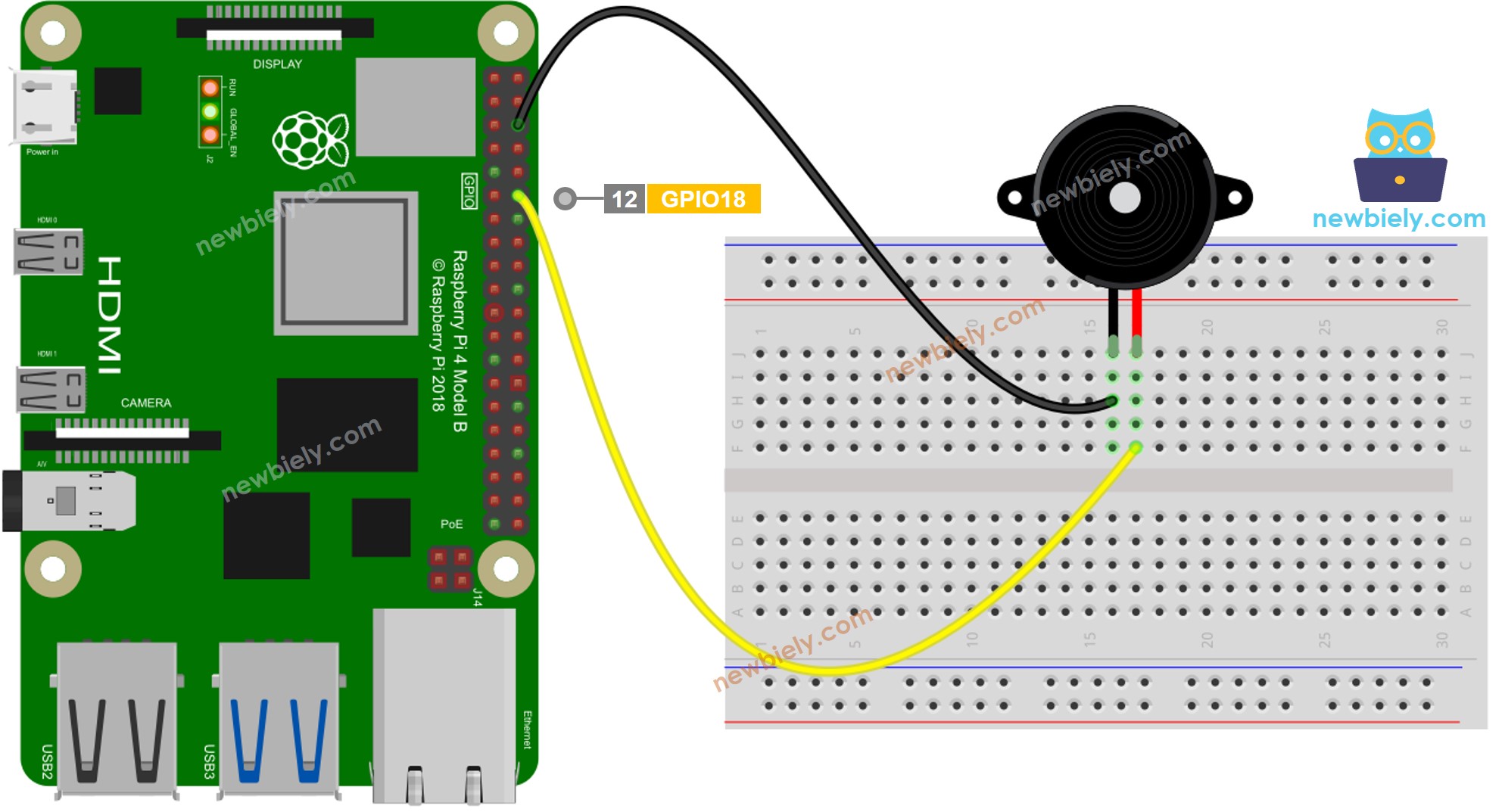 Schéma de câblage du buzzer piézoélectrique Raspberry Pi