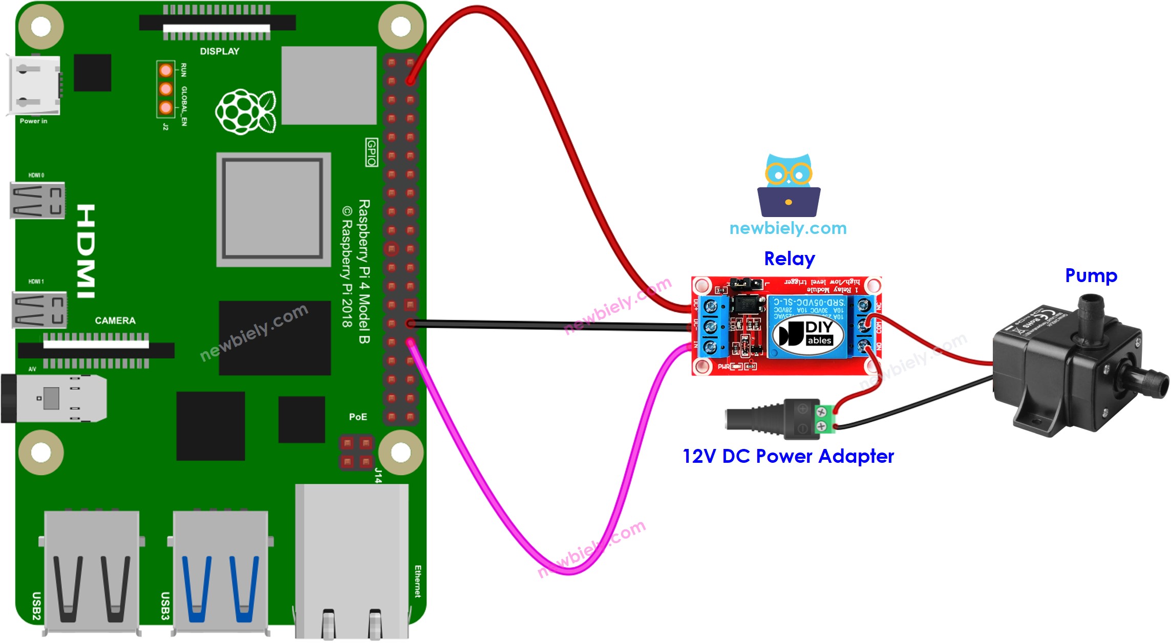 Schéma de câblage de la pompe Raspberry Pi