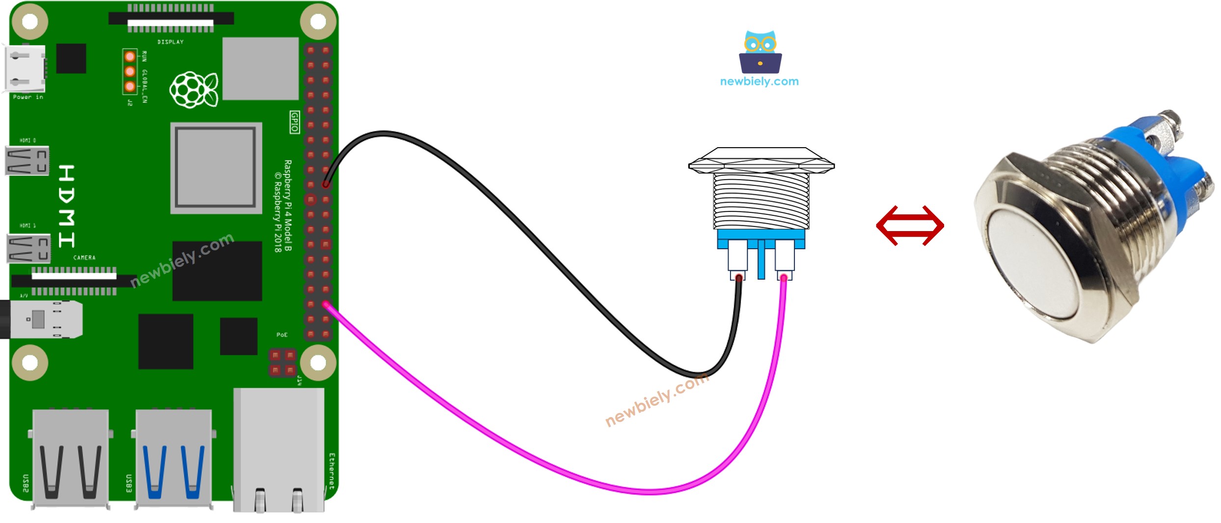 Schéma de câblage du bouton-poussoir à deux broches pour Raspberry Pi