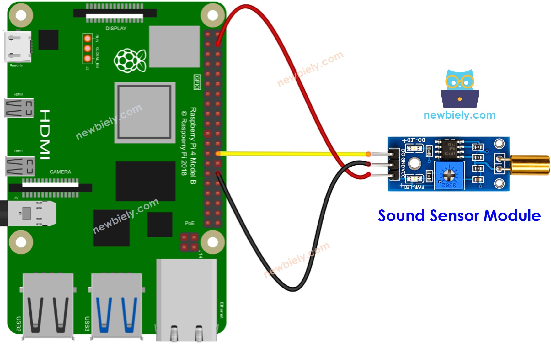Schéma de Câblage Raspberry Pi Capteur d'Inclinaison SW520D