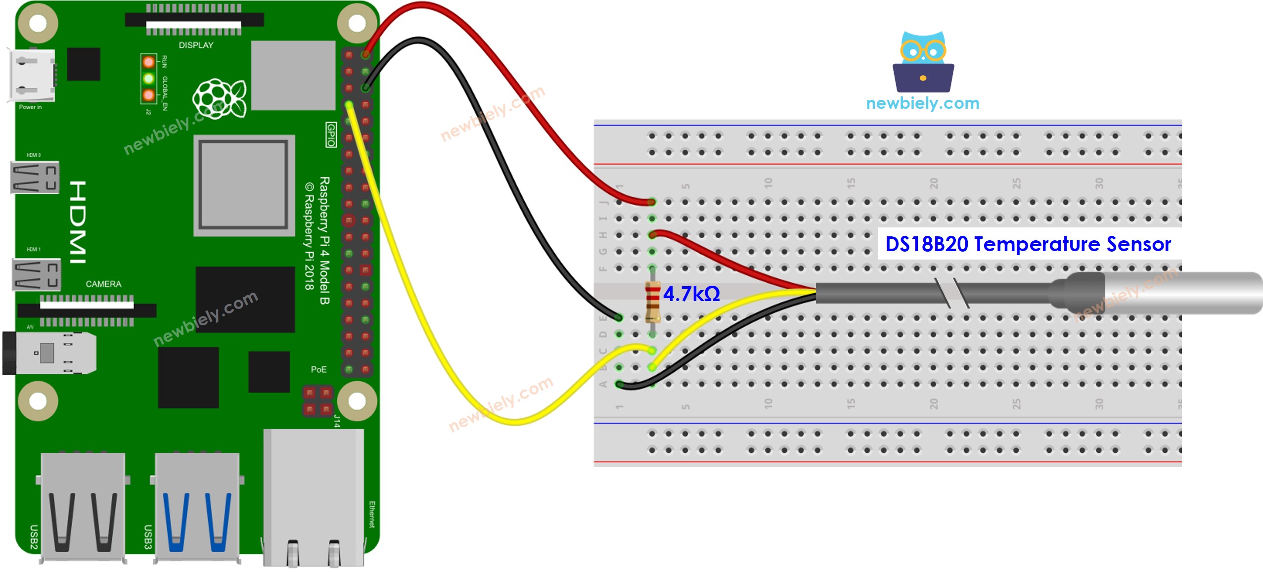 Schéma de câblage du capteur de température Raspberry Pi