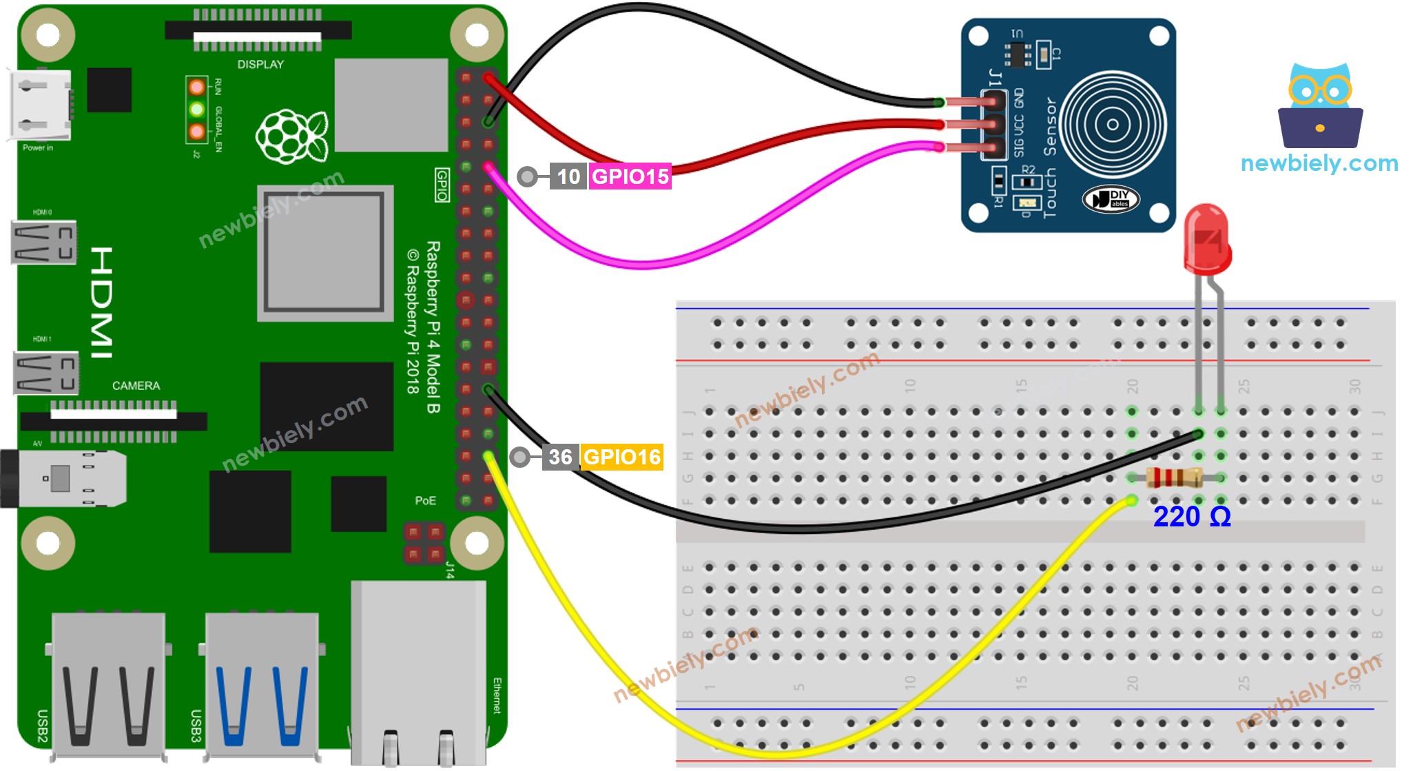 Schéma de câblage LED avec capteur tactile pour Raspberry Pi