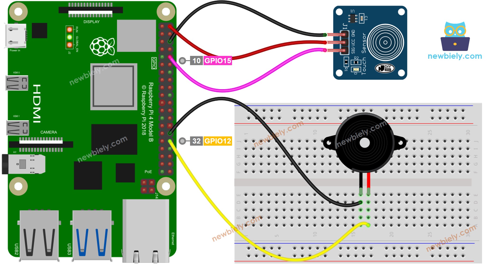 Schéma de câblage du capteur tactile Raspberry Pi avec buzzer piézoélectrique