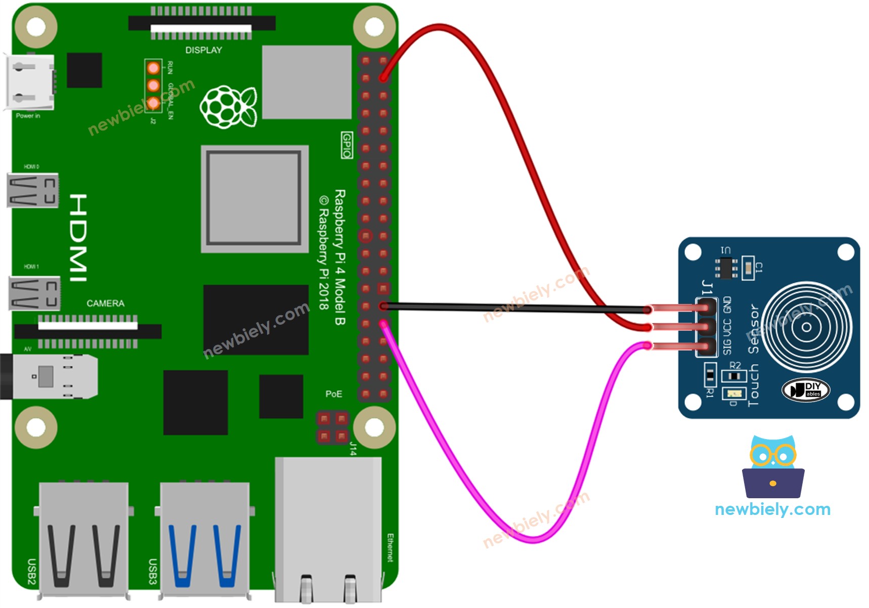 Schéma de câblage du capteur tactile Raspberry Pi